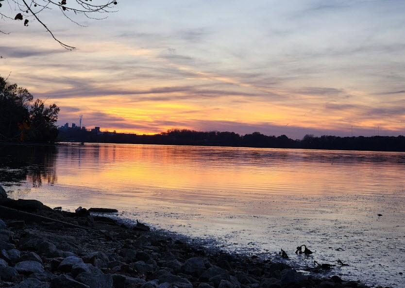 Walton Ferry Arboretum, United States